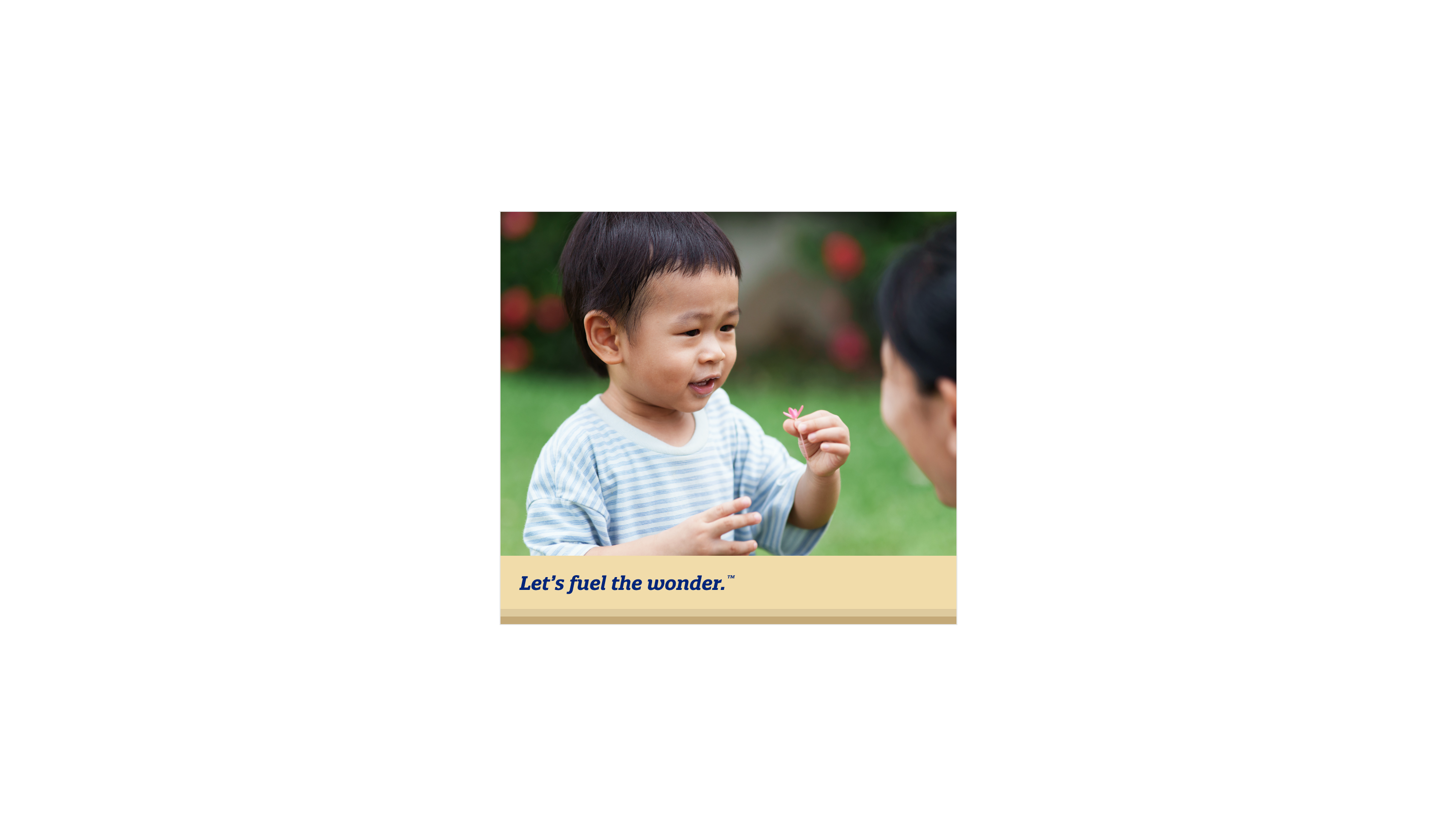 Communication and Social Development in Toddlers