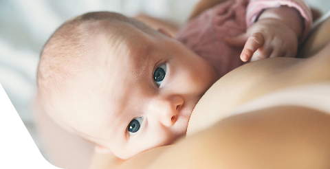 Breastfeeding and Formula Feeding: 5 Facts Every Mom Should Know