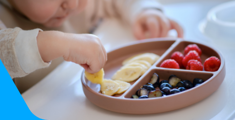 Toddler Sized Portions